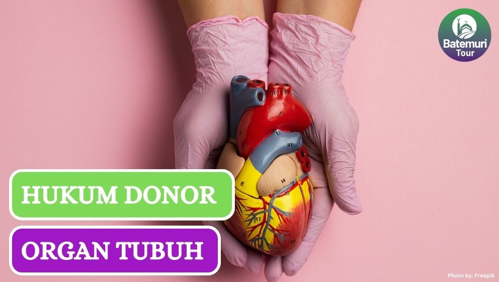 Bolehkah Mendonorkan Organ Tubuh? Ini Dia Hukumnya dalam Islam